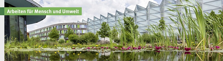 Grafik vor dem Stellenangebot