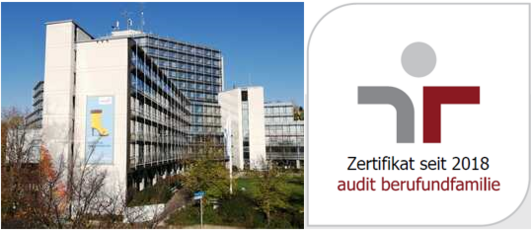 Grafik nach dem Stellenangebot