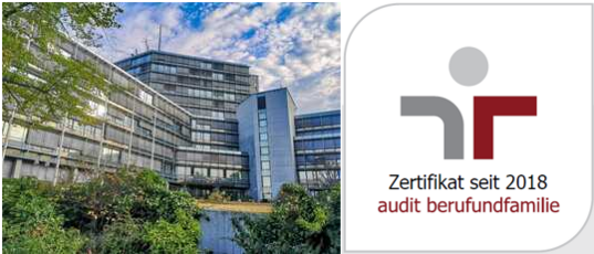 Grafik nach dem Stellenangebot