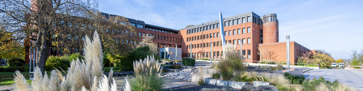 Grafik vor dem Stellenangebot