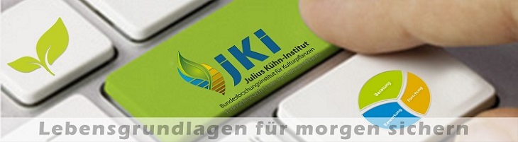 Grafik vor dem Stellenangebot