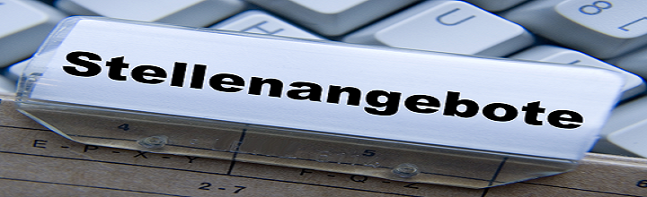 Grafik vor dem Stellenangebot