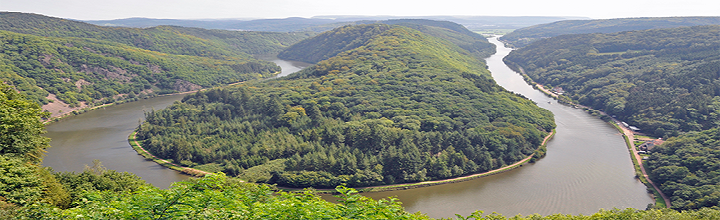 Grafik nach dem Stellenangebot