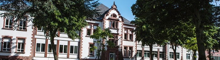 Grafik vor dem Stellenangebot