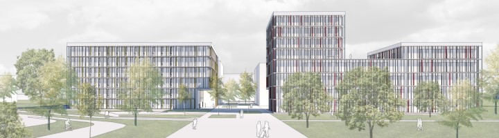 Grafik nach dem Stellenangebot