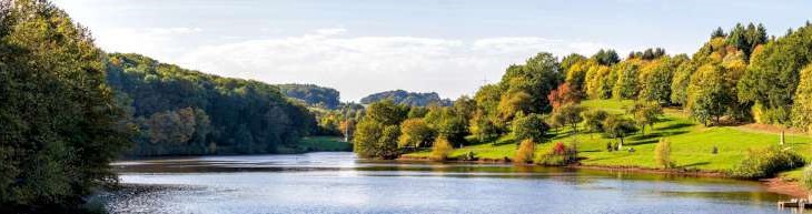 Grafik vor dem Stellenangebot