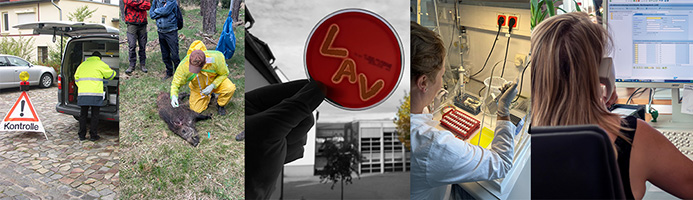 Grafik vor dem Stellenangebot