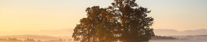 Grafik vor dem Stellenangebot